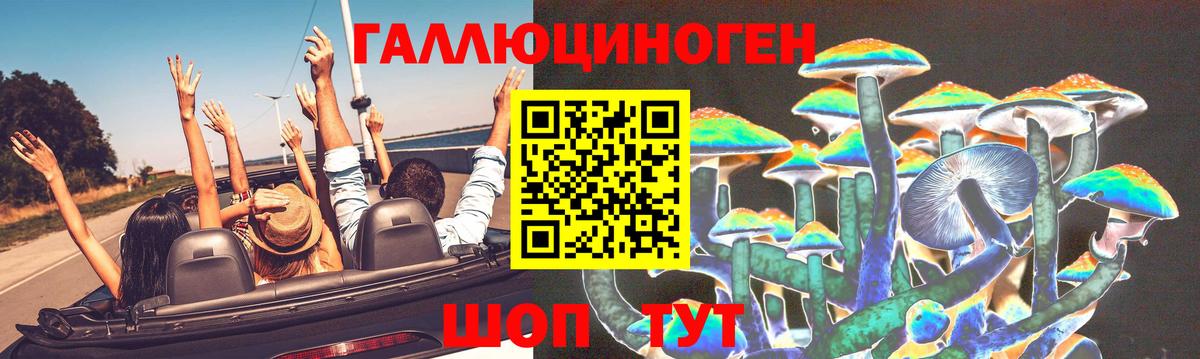 Галлюциногенные грибы Psilocybe Ноябрьск